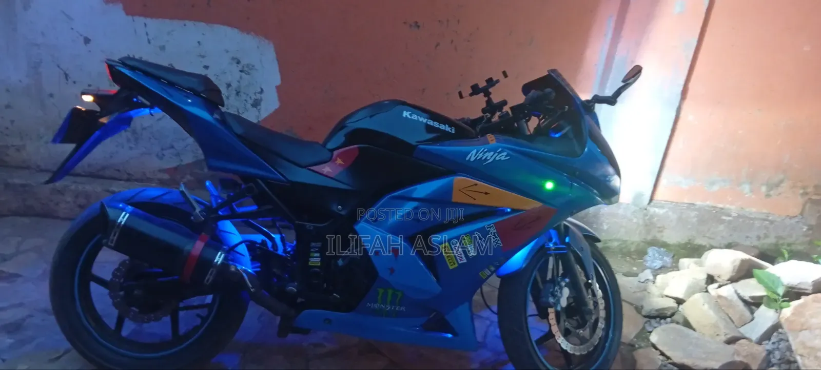 Kawasaki Ninja 300 2019 Blue