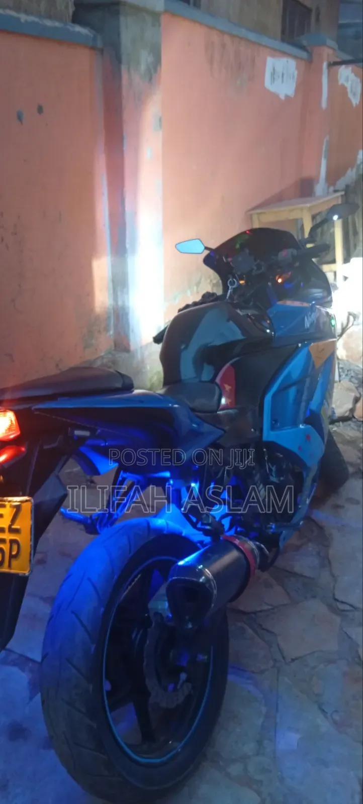 Kawasaki Ninja 300 2019 Blue