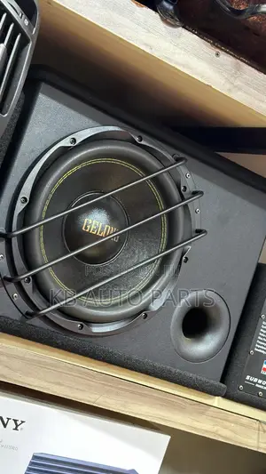 Car High Power Amplified Subwoofers
