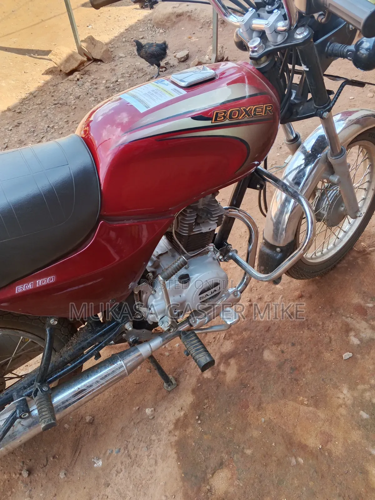 New Bajaj Boxer 100 2025 Red