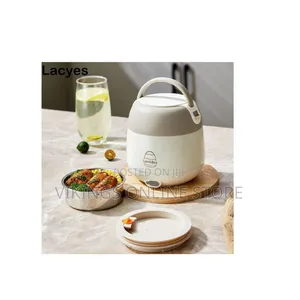 A Portable USB-powered Electric Lunch Box