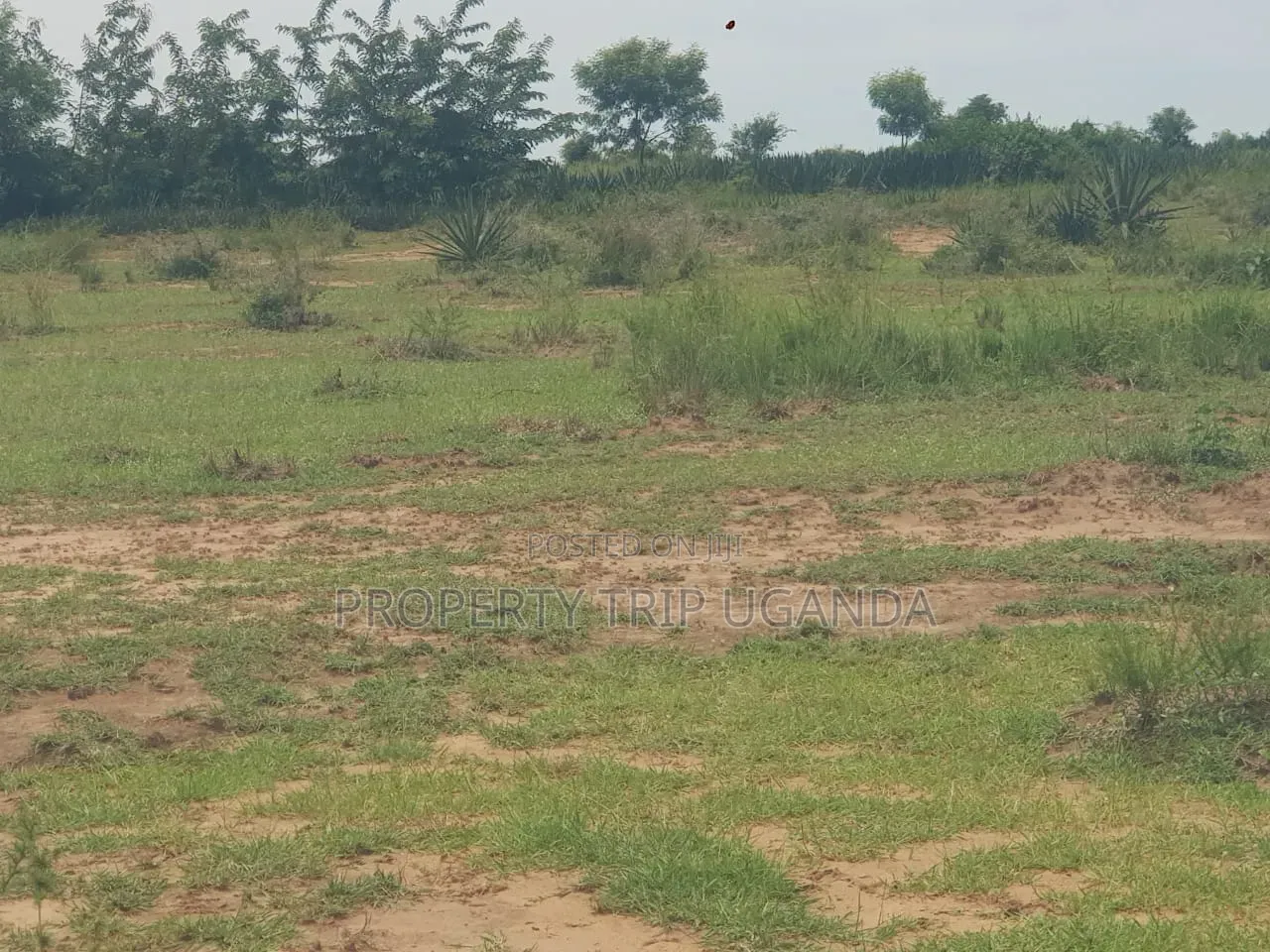 10acres of Riverbank Land for Sale in Pakwach