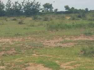 10acres of Riverbank Land for Sale in Pakwach