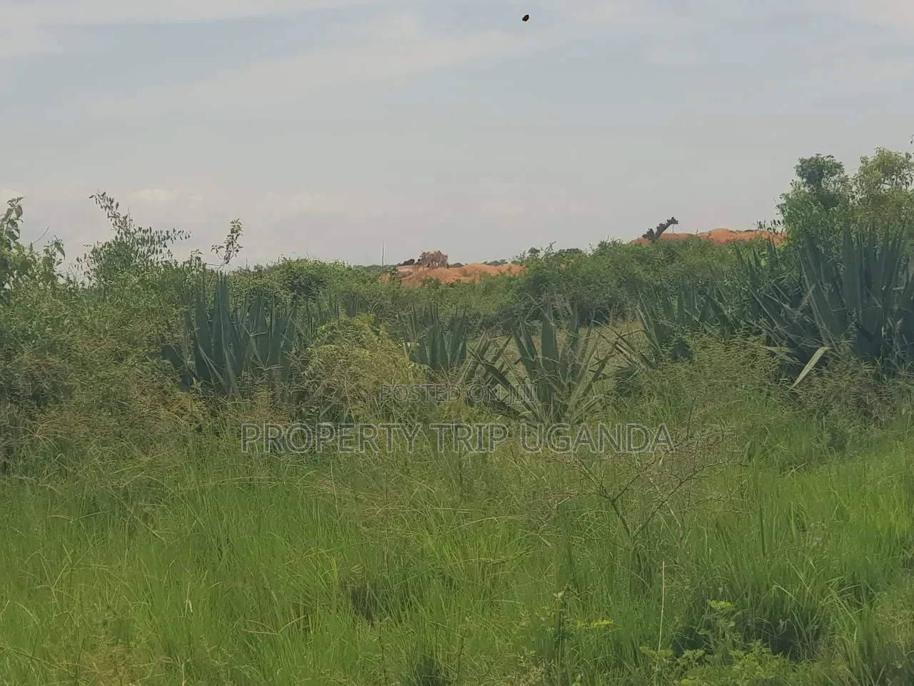 10acres of Riverbank Land for Sale in Pakwach