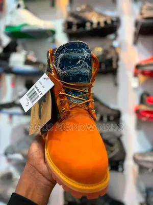 New Timberlands