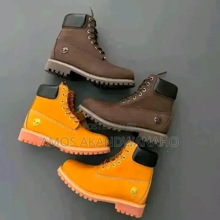 New Timberlands