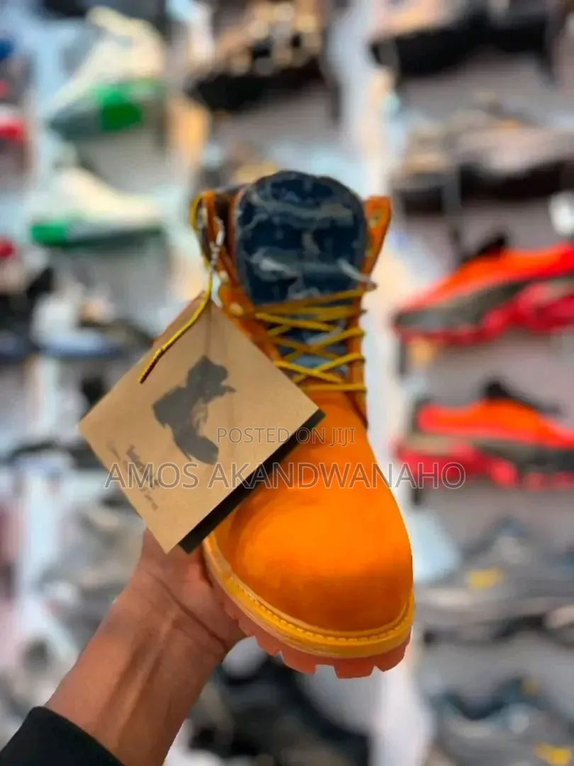 New Timberlands