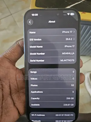 Apple iPhone 17 256 GB Gray