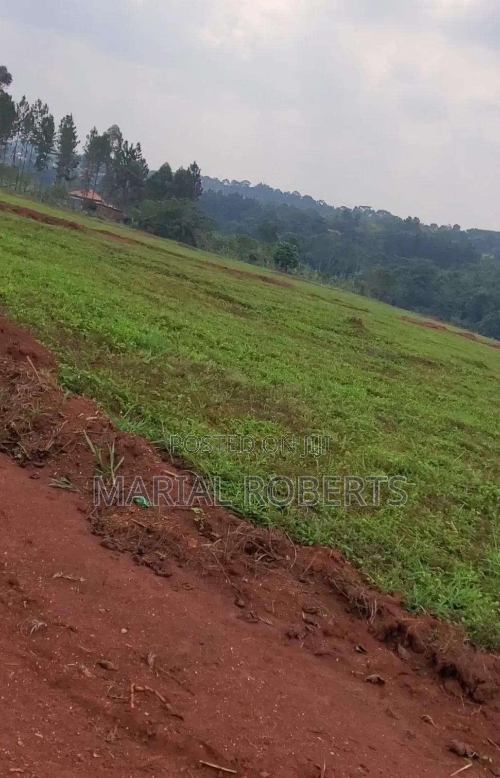 Titled Estate Plots for Sale