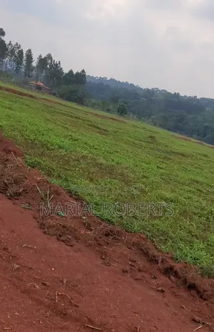 Titled Estate Plots for Sale