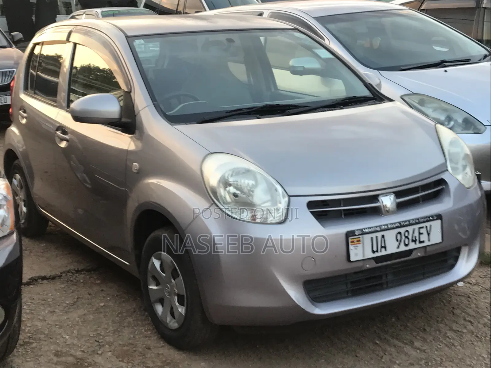 Toyota Passo 2010 Gray
