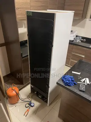 Luxury Homes Fridge Repair,gas Refilling,other Services