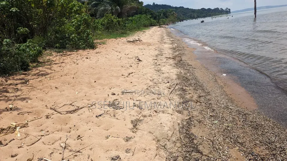 Land Touching Water
