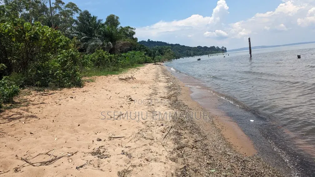 Land Touching Water