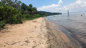 Land Touching Water