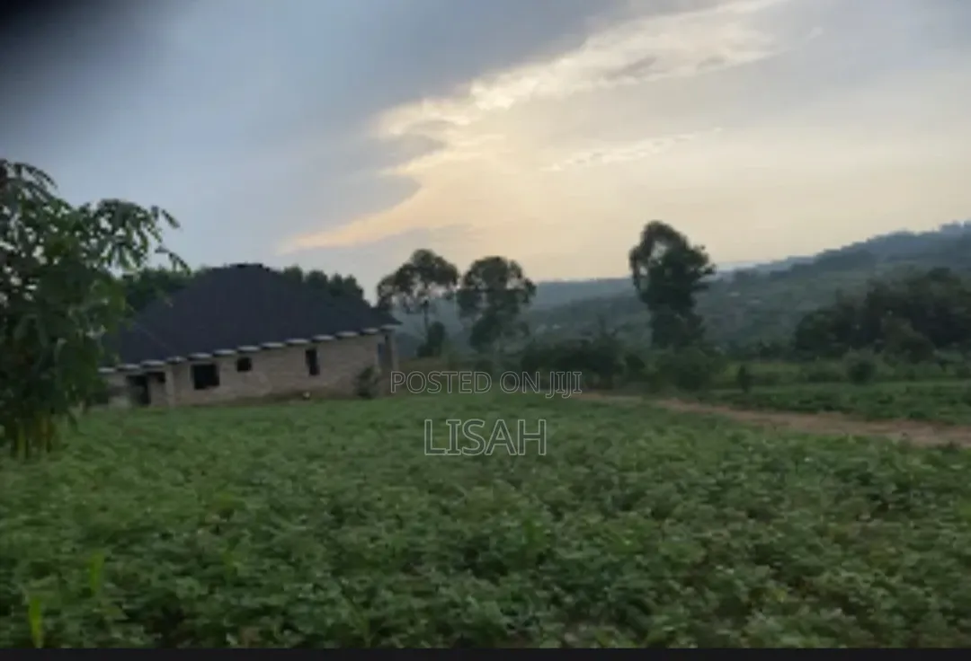 3 Plots for Sale in Kakiri - Kikugi Trading Center