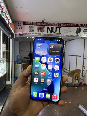 Apple iPhone 13 Pro Max 128 GB Gold
