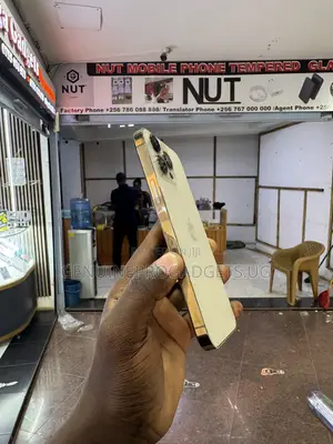 Apple iPhone 13 Pro Max 128 GB Gold
