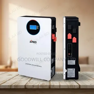 5kwh 51.2v Sako Interstellar Lithium Battery