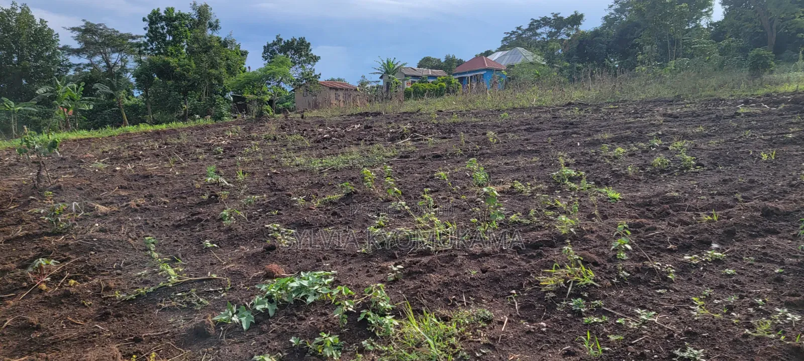 50by100ft PLOTS FOR SALE at 9 M Ugx Only