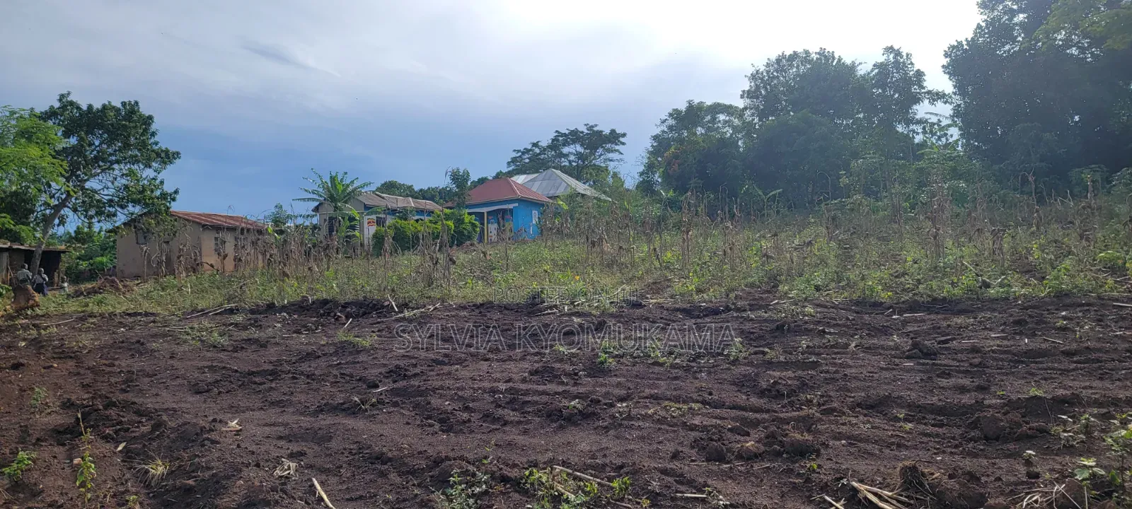 50by100ft PLOTS FOR SALE at 9 M Ugx Only