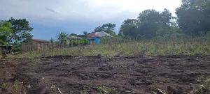50by100ft PLOTS FOR SALE at 9 M Ugx Only