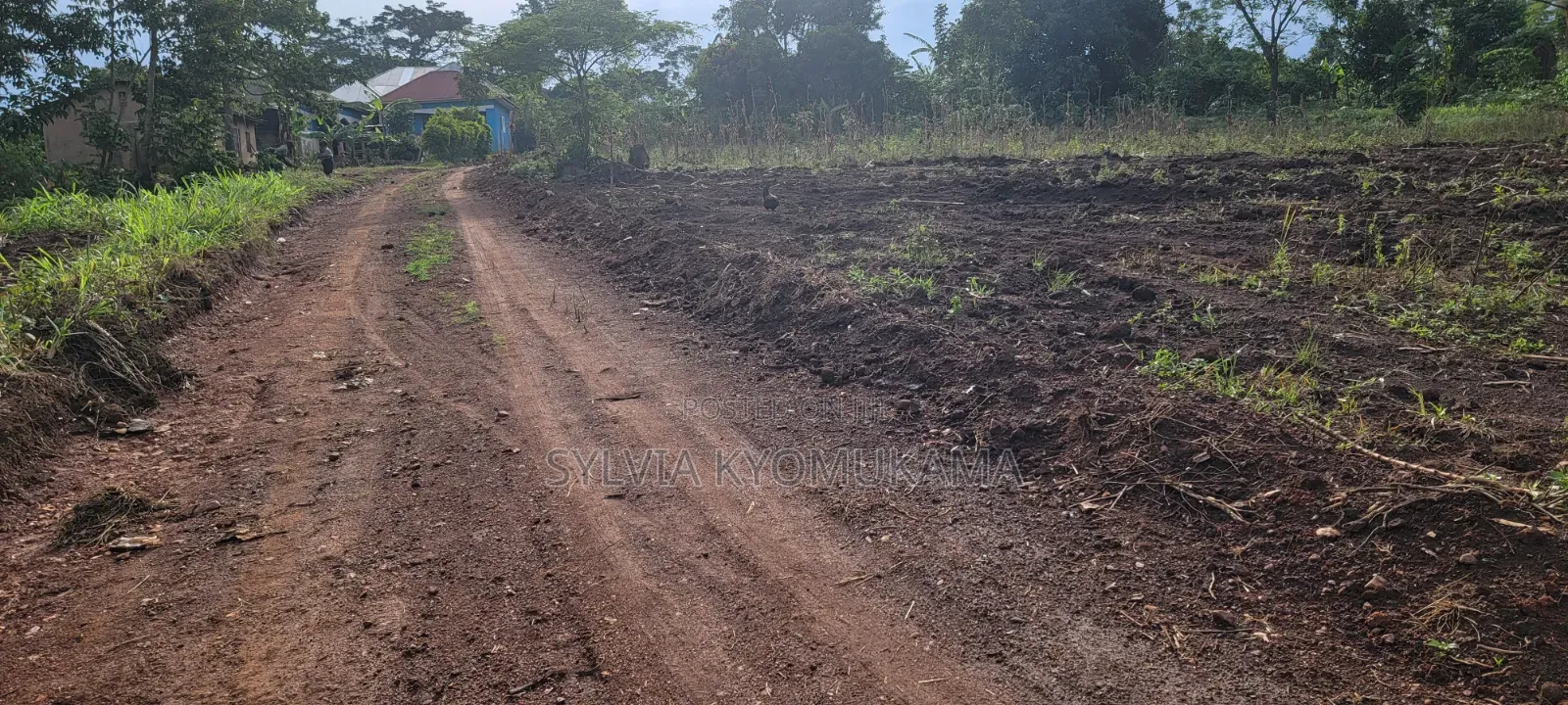 50by100ft PLOTS FOR SALE at 9 M Ugx Only