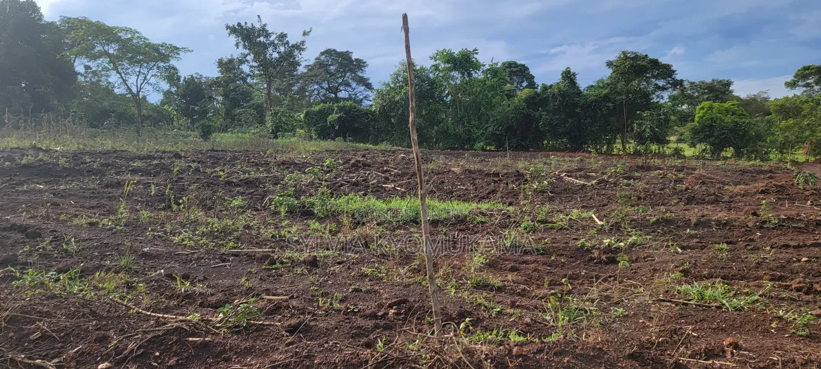 50by100ft PLOTS FOR SALE at 9 M Ugx Only