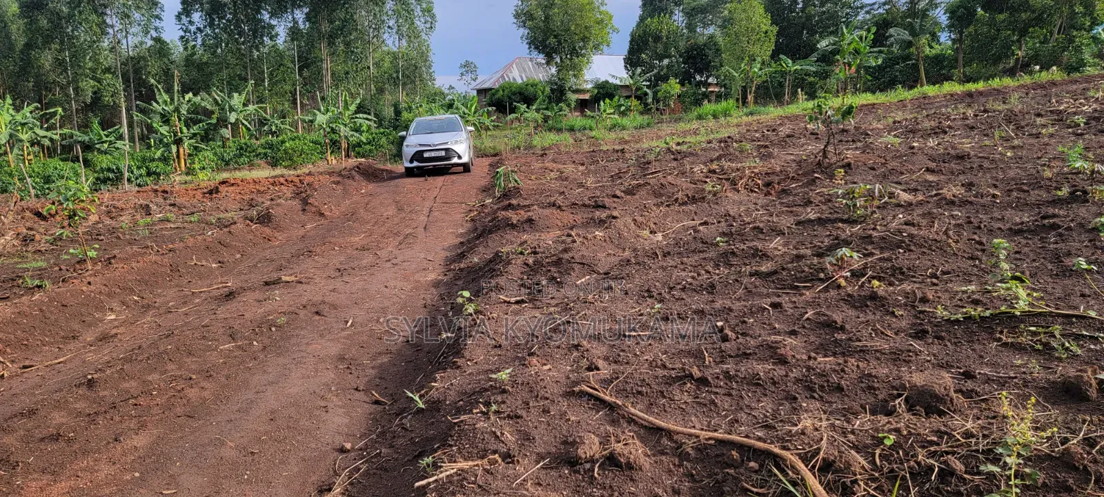 50by100ft PLOTS FOR SALE at 9 M Ugx Only