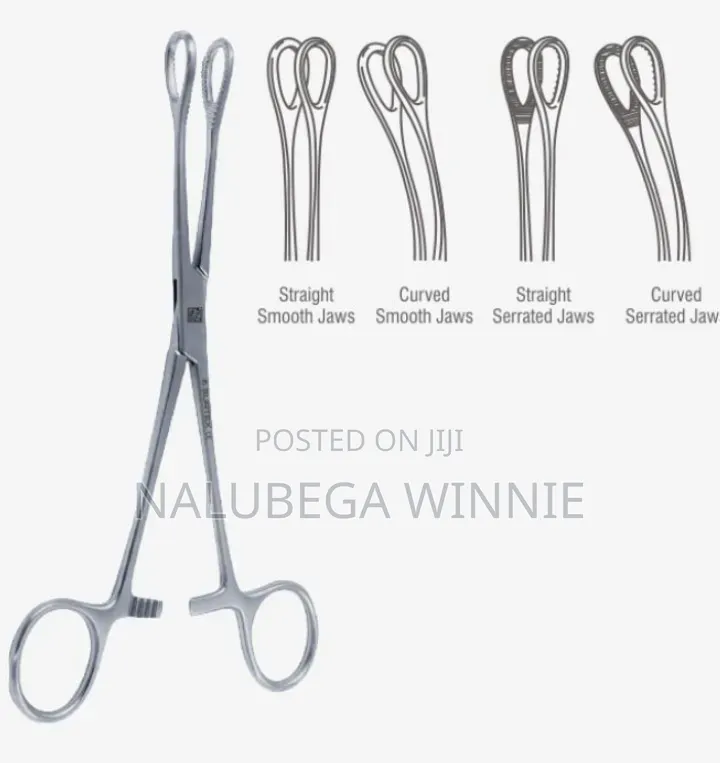 Sponge Holding Forceps Straight and Curved