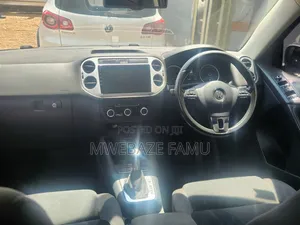 Volkswagen Tiguan 2012 Gray