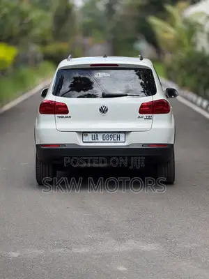 Volkswagen Tiguan 2014 Silver
