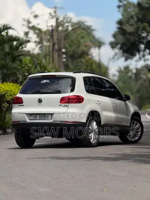 Volkswagen Tiguan 2014 Silver