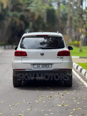 Volkswagen Tiguan 2014 Silver