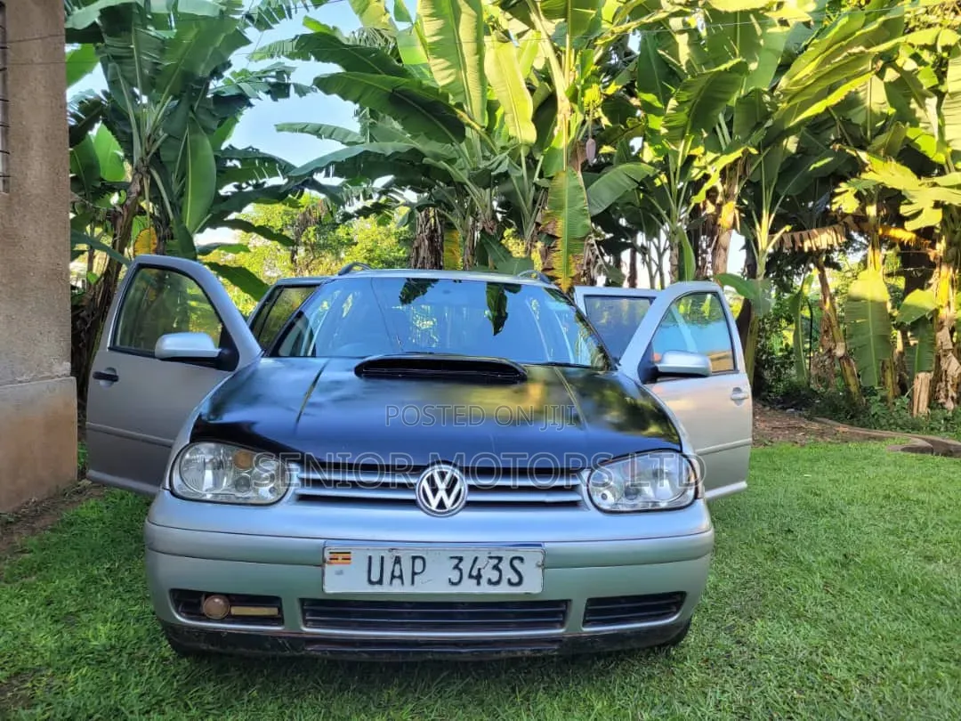 Volkswagen Golf 2003 Silver