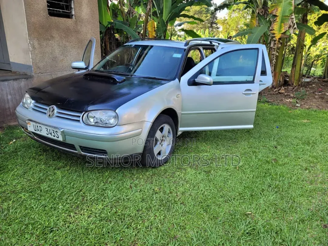 Volkswagen Golf 2003 Silver