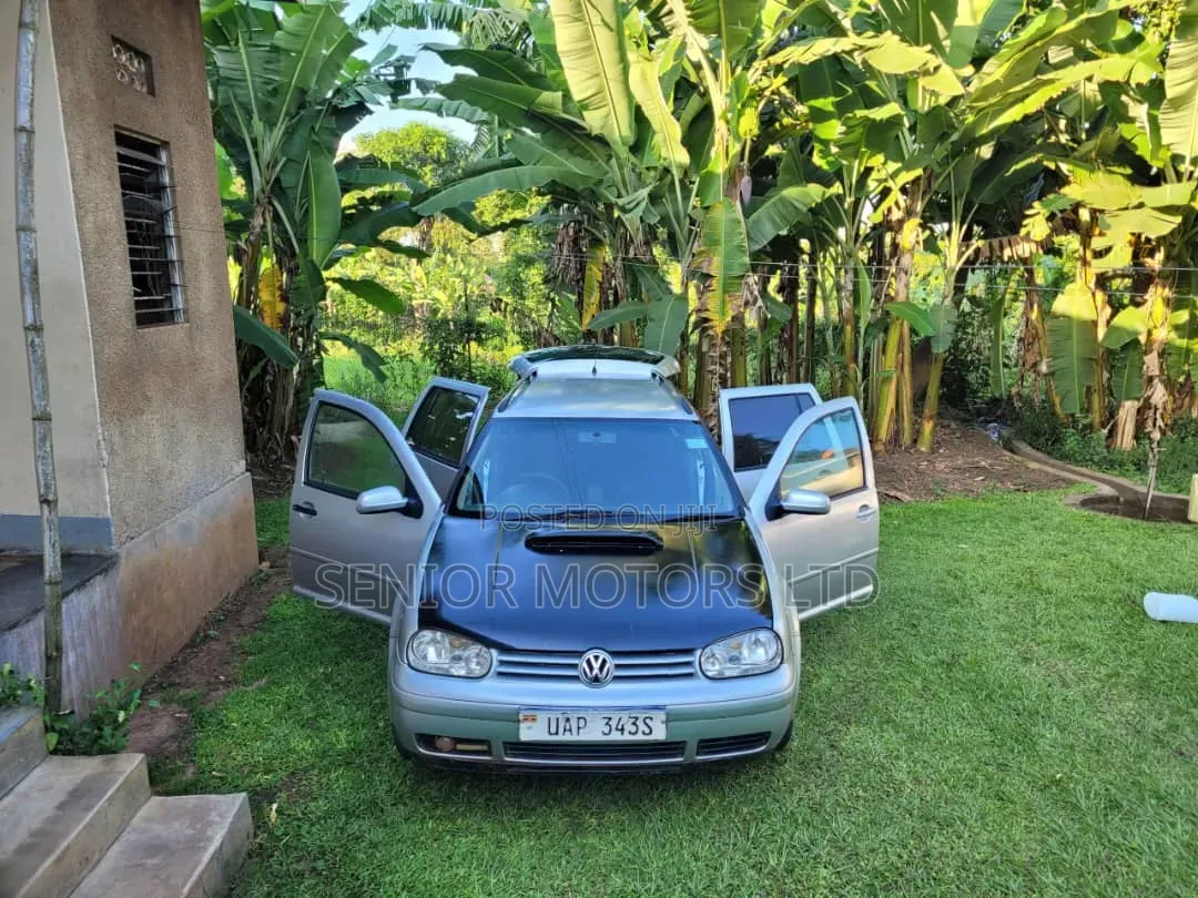 Volkswagen Golf 2003 Silver