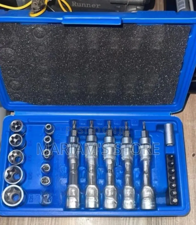 Torx Bit Socket and E-Torx Star Socket Set