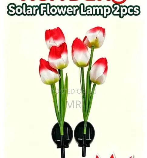 Solar Flower Lamps for X Mas. And Dicoration. Get Yourself One to Save