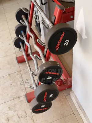Fixed Barbell Weights