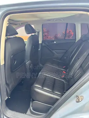 Volkswagen Tiguan SE 2010 Gray