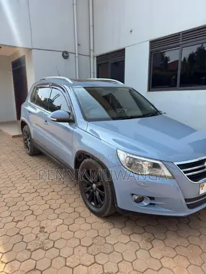 Volkswagen Tiguan SE 2010 Gray