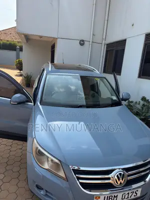 Volkswagen Tiguan SE 2010 Gray
