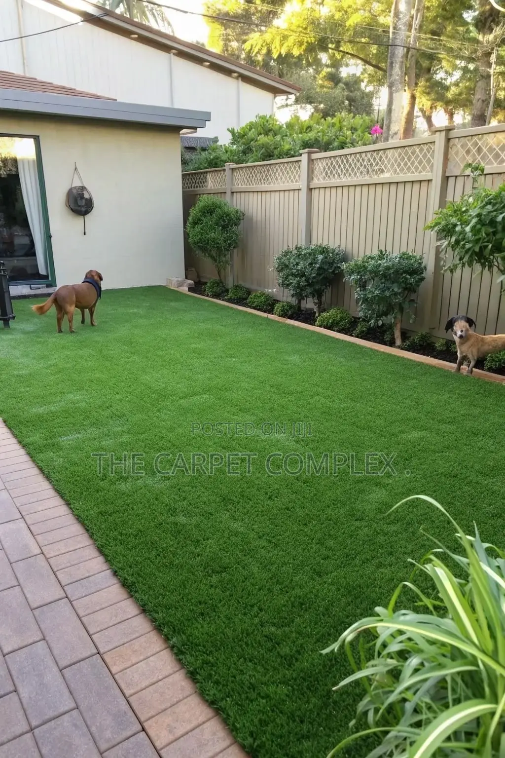 Home Green Grass Carpets Super Green Per Squaremeter
