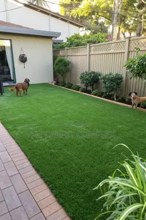 Home Green Grass Carpets Super Green Per Squaremeter
