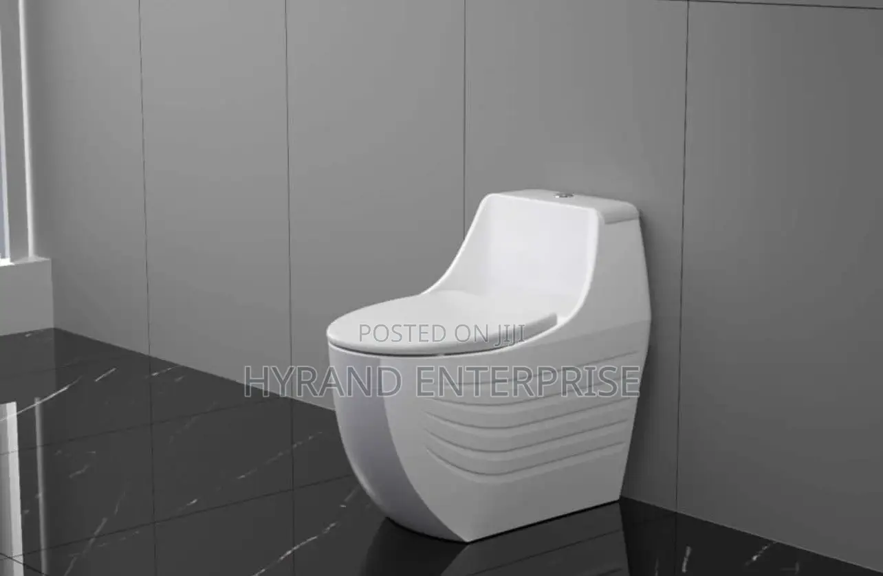 Executive Toilets