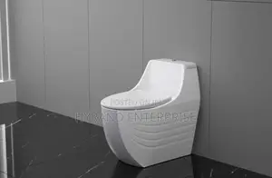 Executive Toilets
