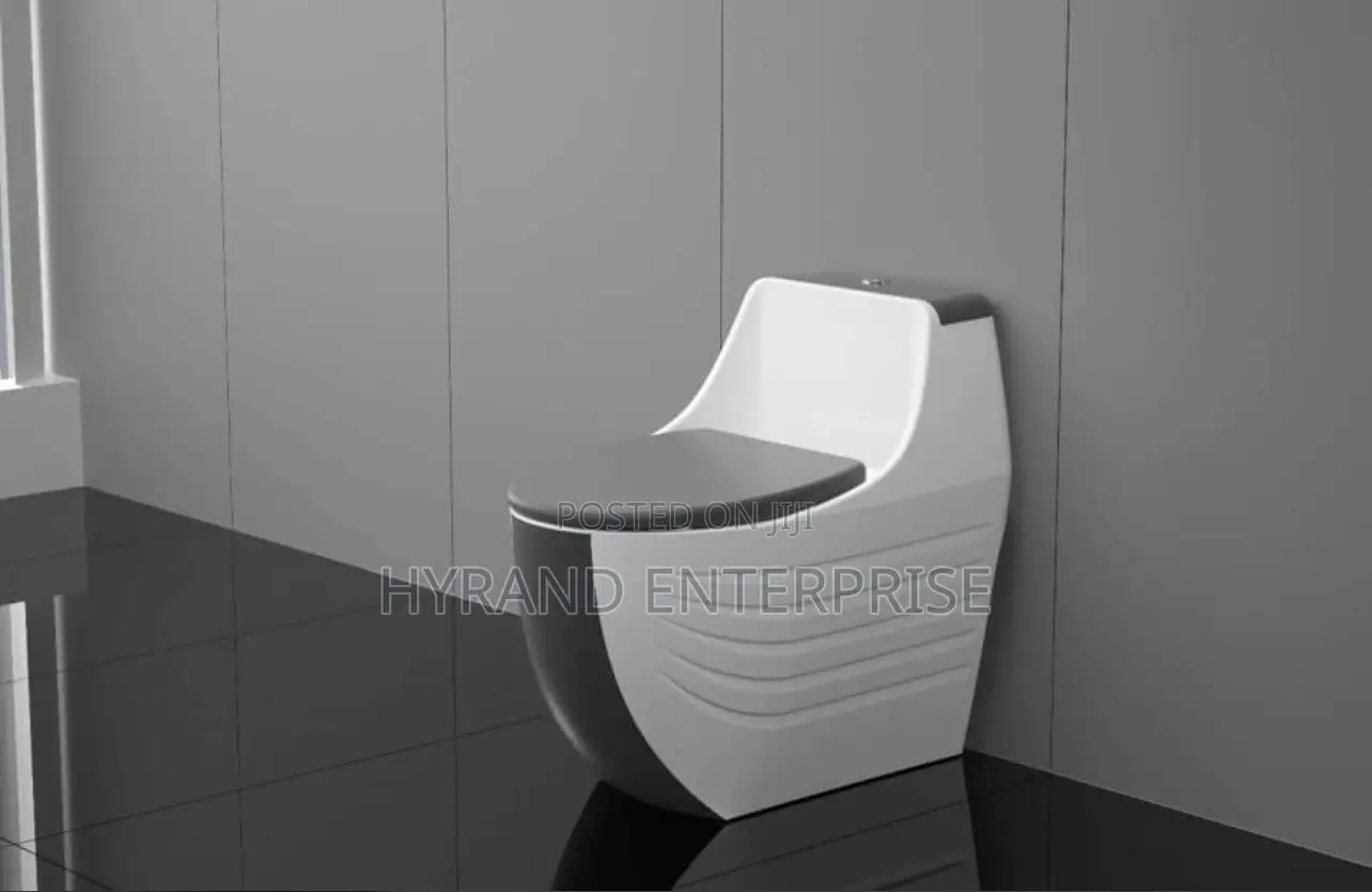 Executive Toilets