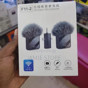 3 in 1 Wireless Microphone / F11-2 Wireless Microphone