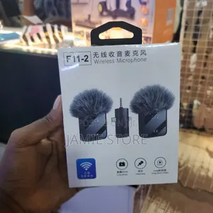 3 in 1 Wireless Microphone / F11-2 Wireless Microphone